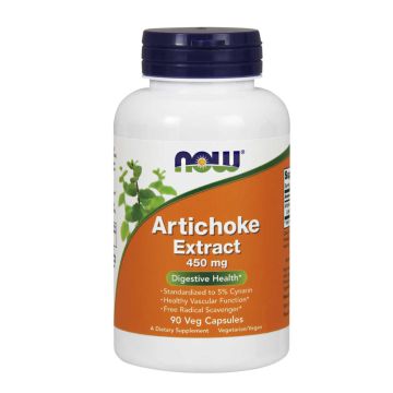 ARTISCHOCKENEXTRAKT 450 mg - 90 veg caps