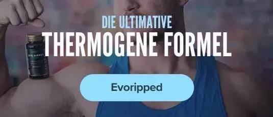 Evoripped von SportSeries kaufen