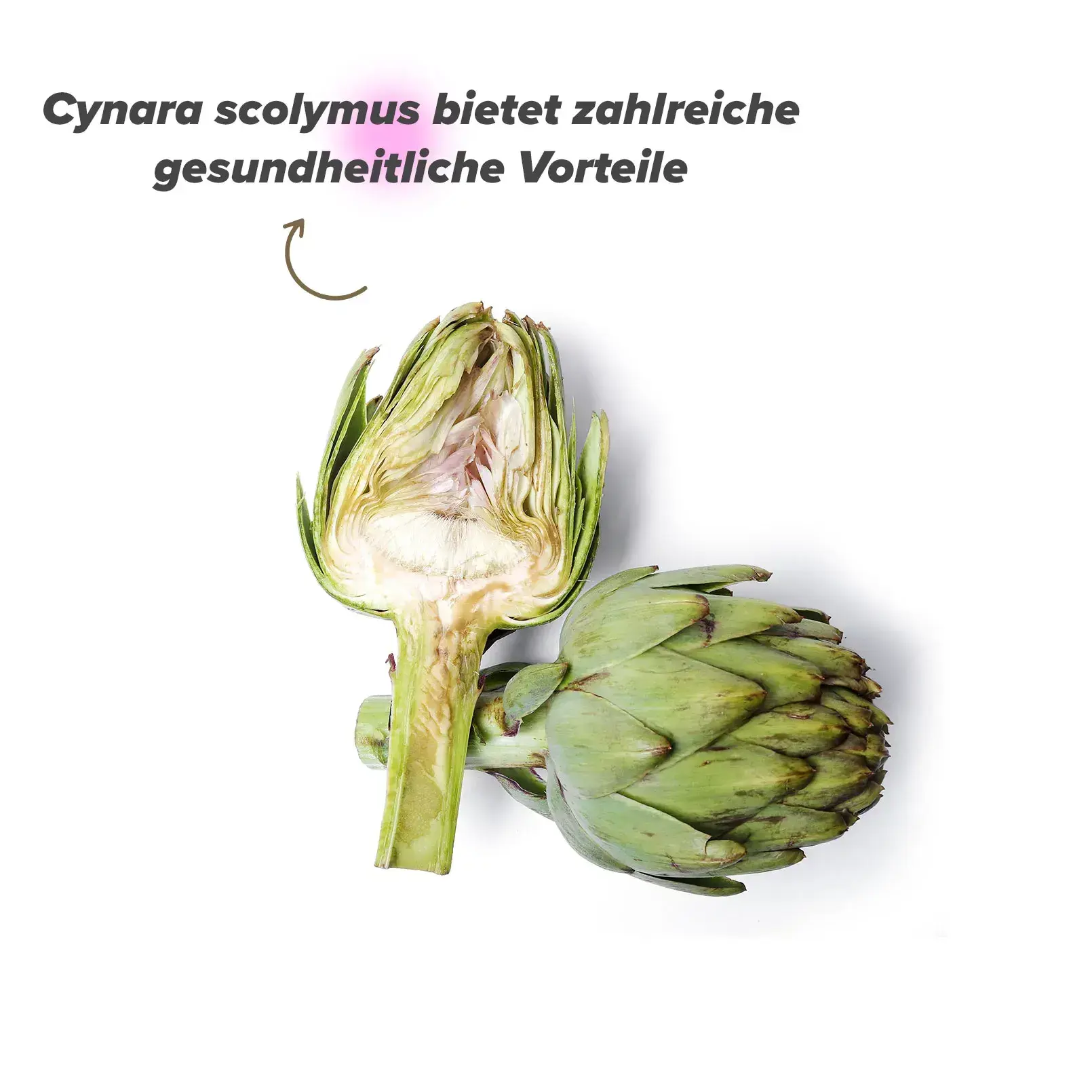 Bedeutung der Artischocke f&uuml;r die Gesundheit