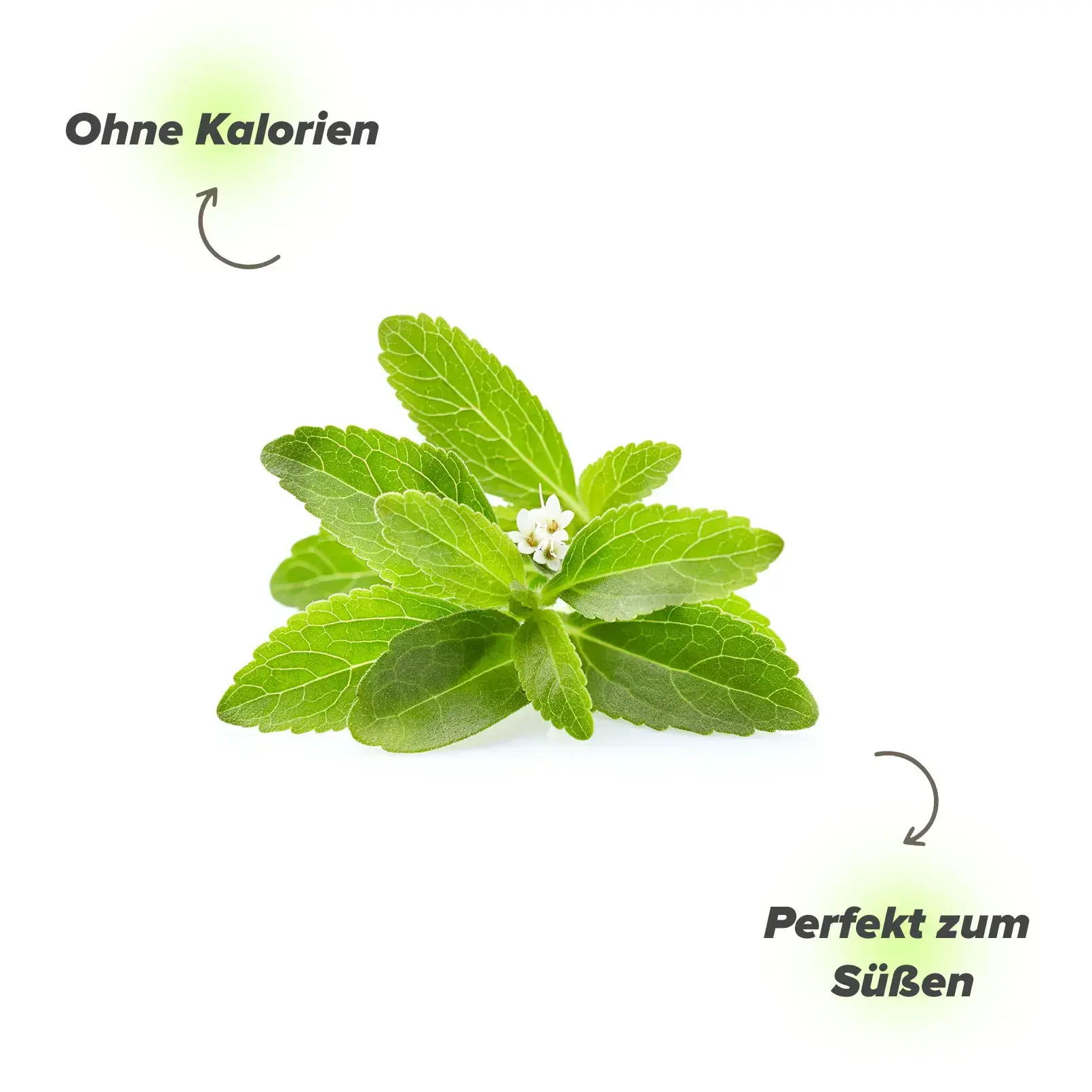 Warum Stevia als Zuckerersatz nehmen?