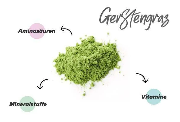 Nährstoffe in Gerstengras