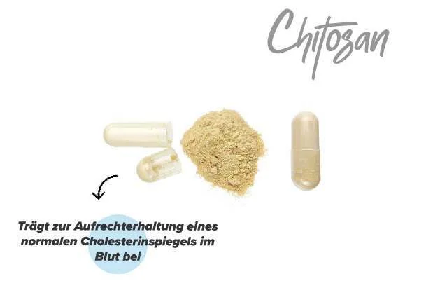 Wirkungen von Chitosan im Körper