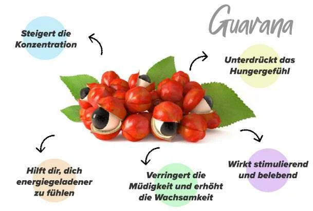 Funktionen von Guarana