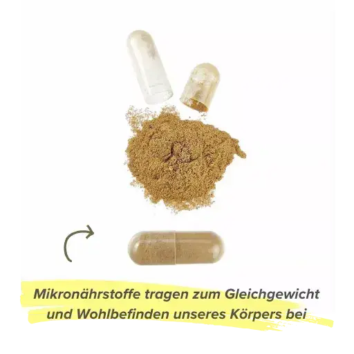 Was bringen Mikron&auml;hrstoffe deinem K&ouml;rper?
