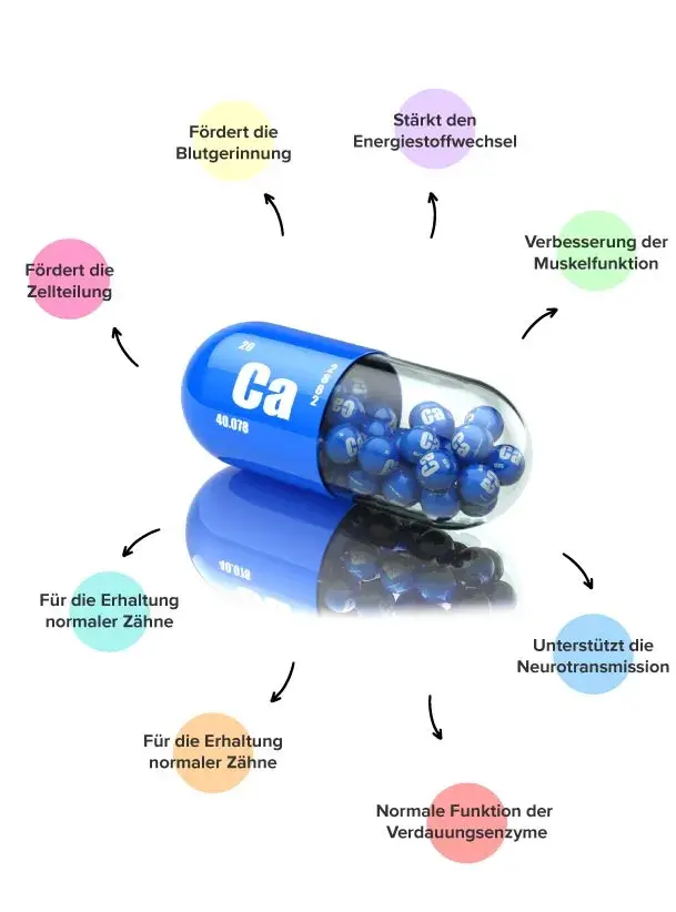 Eigenschaften von Calcium