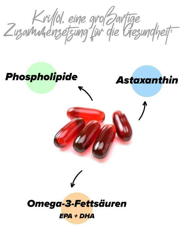 Krill&ouml;l f&uuml;r die Gesundheit