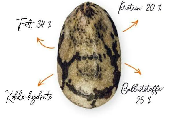 Eigenschaften von Chia