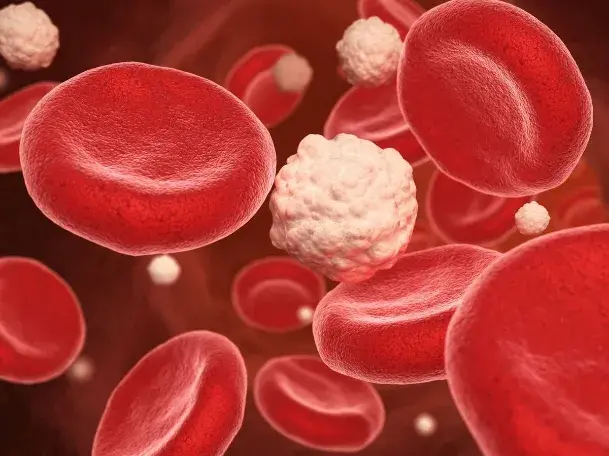 Funktionen von Chrompicolinat