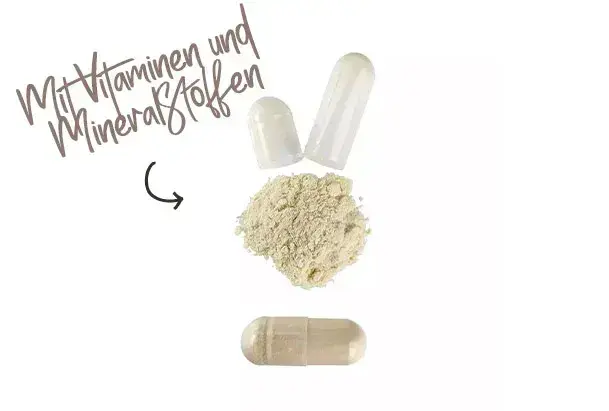 Koreanischer Ginseng mit Vitaminen und Mineralstoffen
