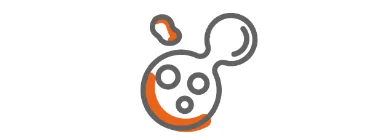 Prozess der Zellteilung