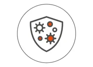 Funktion des Immunsystems