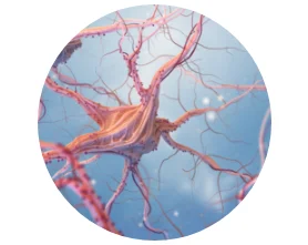 Neurologische und psychische Funktion