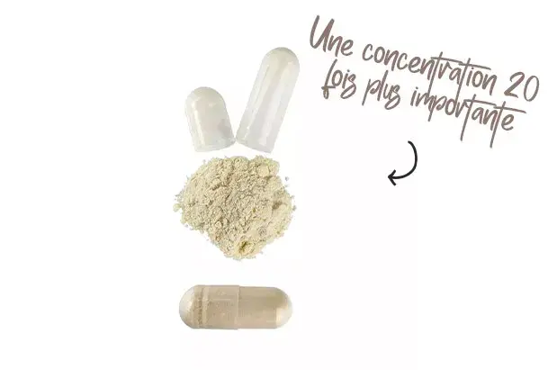 Effets du Boswellia sur l&rsquo;organisme