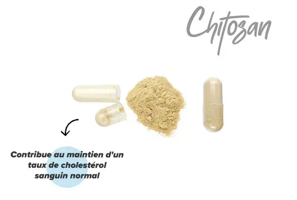 Effets du chitosan