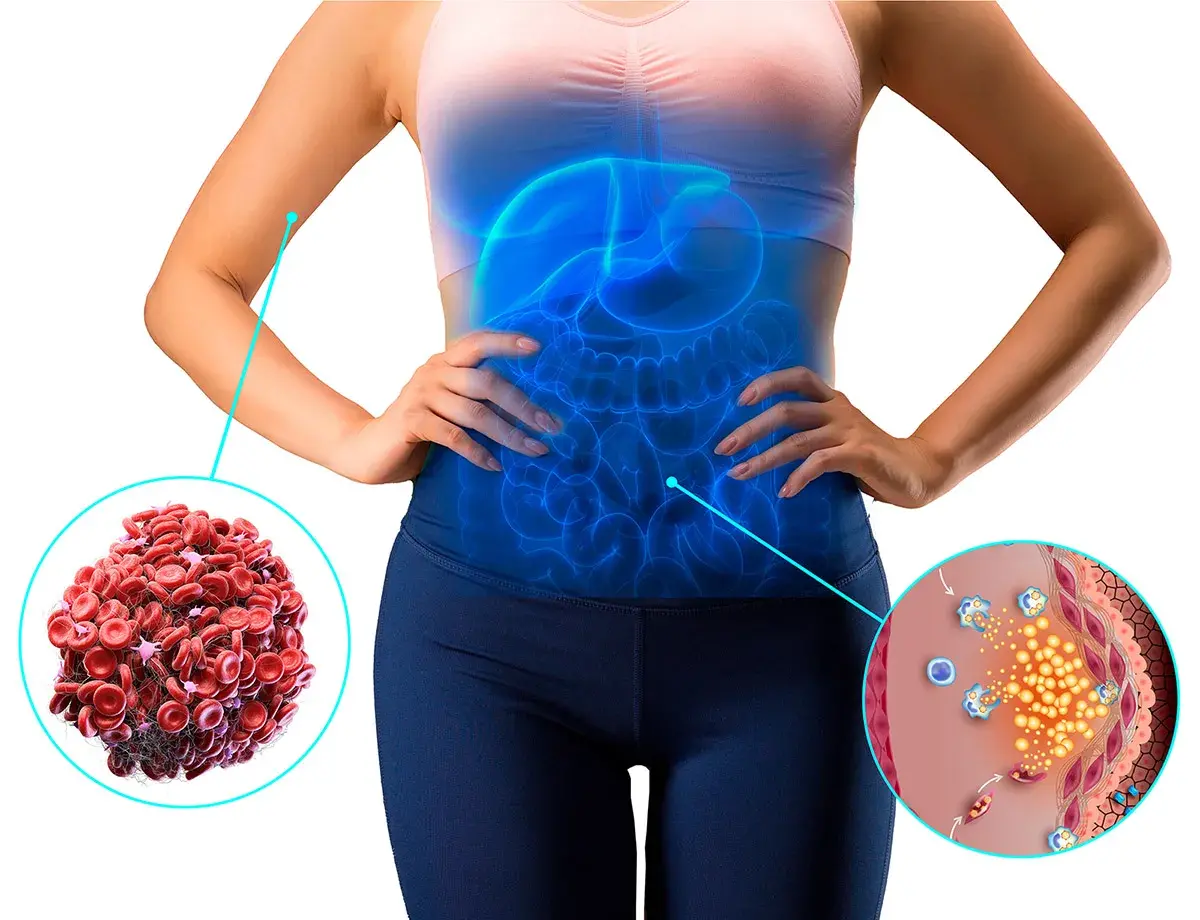 Bloqueurs de graisses et de glucides de qualité.