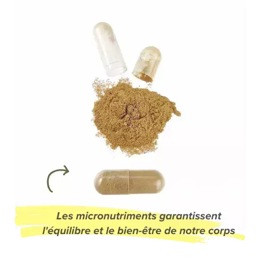 Kelp EssentialSeries