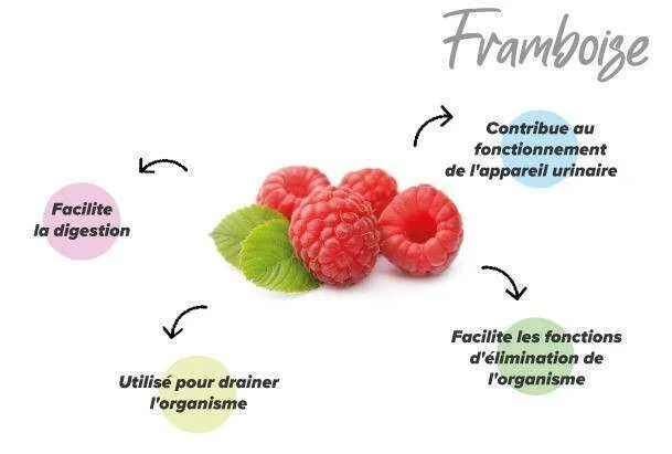 Fonctions de la framboise