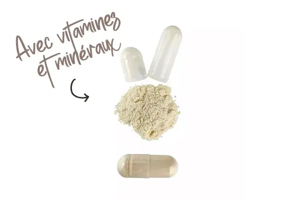 Caract&eacute;ristiques du ginseng cor&eacute;en