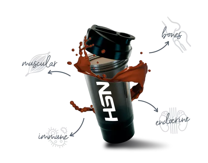 Comment fonctionnent les protéines whey ?