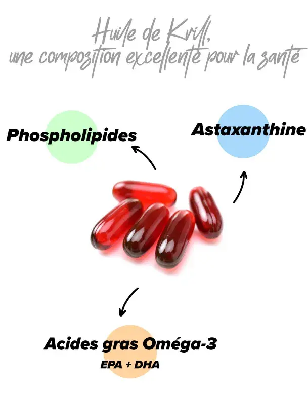 Caractéristiques de l'huile de krill de chez HSN