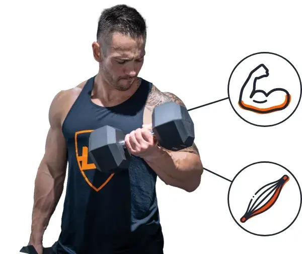 Suppl&eacute;ment &agrave; base de viande