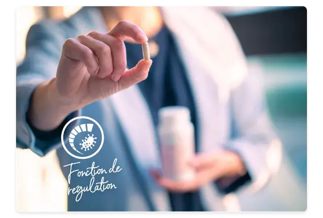 mineraux a fonction regulatrice