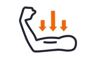 ic&ocirc;ne masse musculaire.