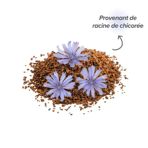 Provenance de l&rsquo;inuline