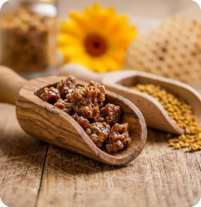 Compl&eacute;ments de propolis de nos marques