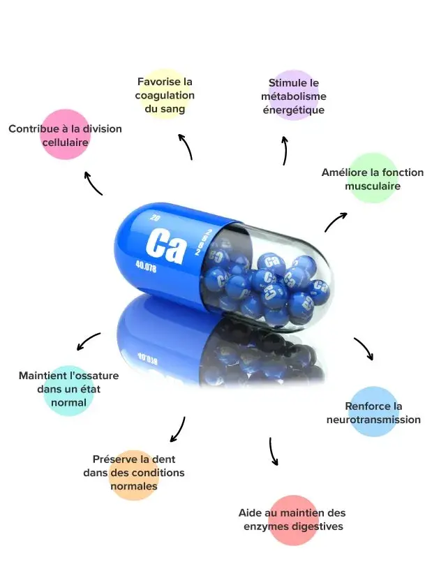 Propriétés du calcium