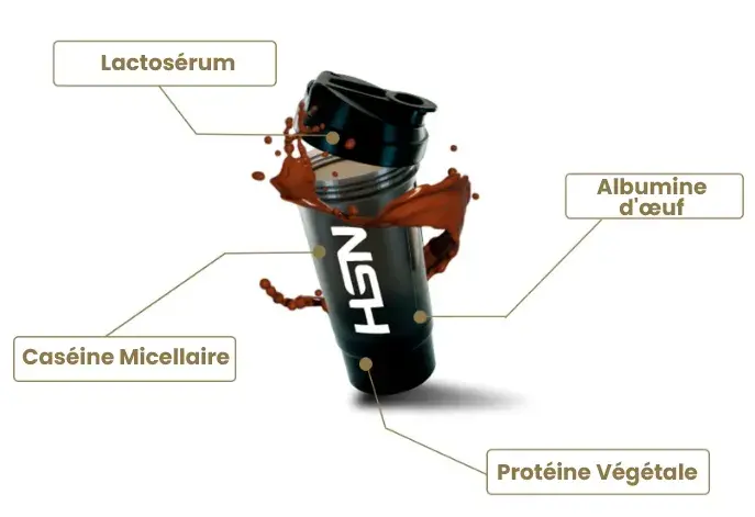 Prot&eacute;ines s&eacute;quentielles