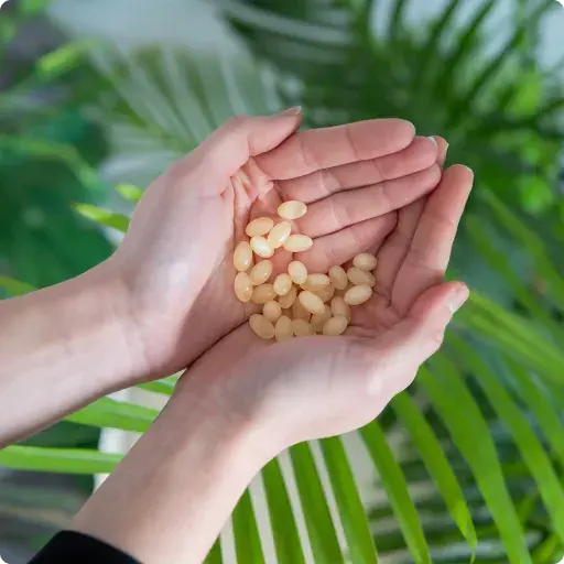 Mains contenant des g&eacute;lules de saw palmetto