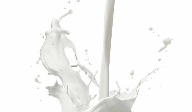 Bienfaits de la protéine whey