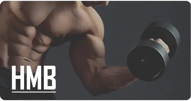 &Agrave; quoi sert le HMB ?