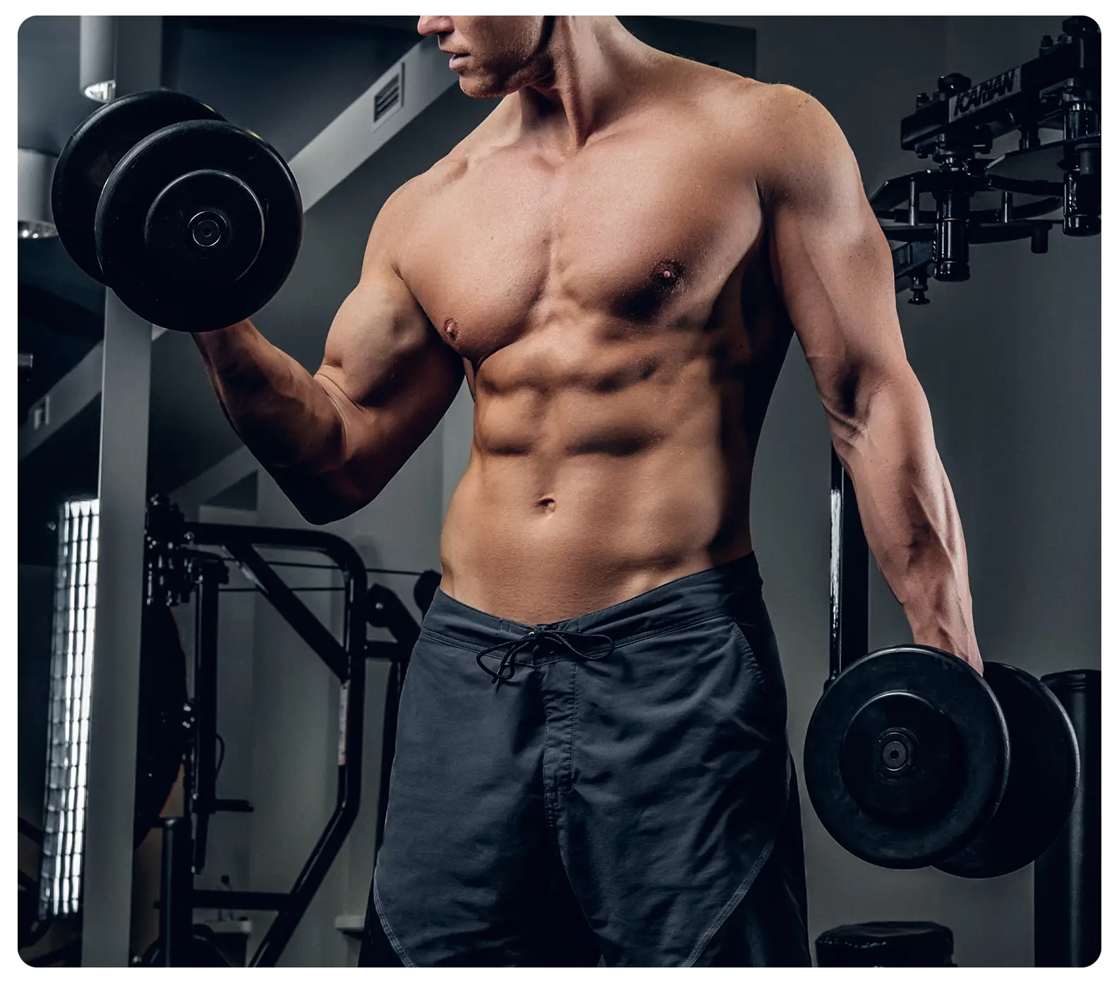 Wozu dient Beta-Hydroxy-Beta-Methylbutyrat oder Leucin?