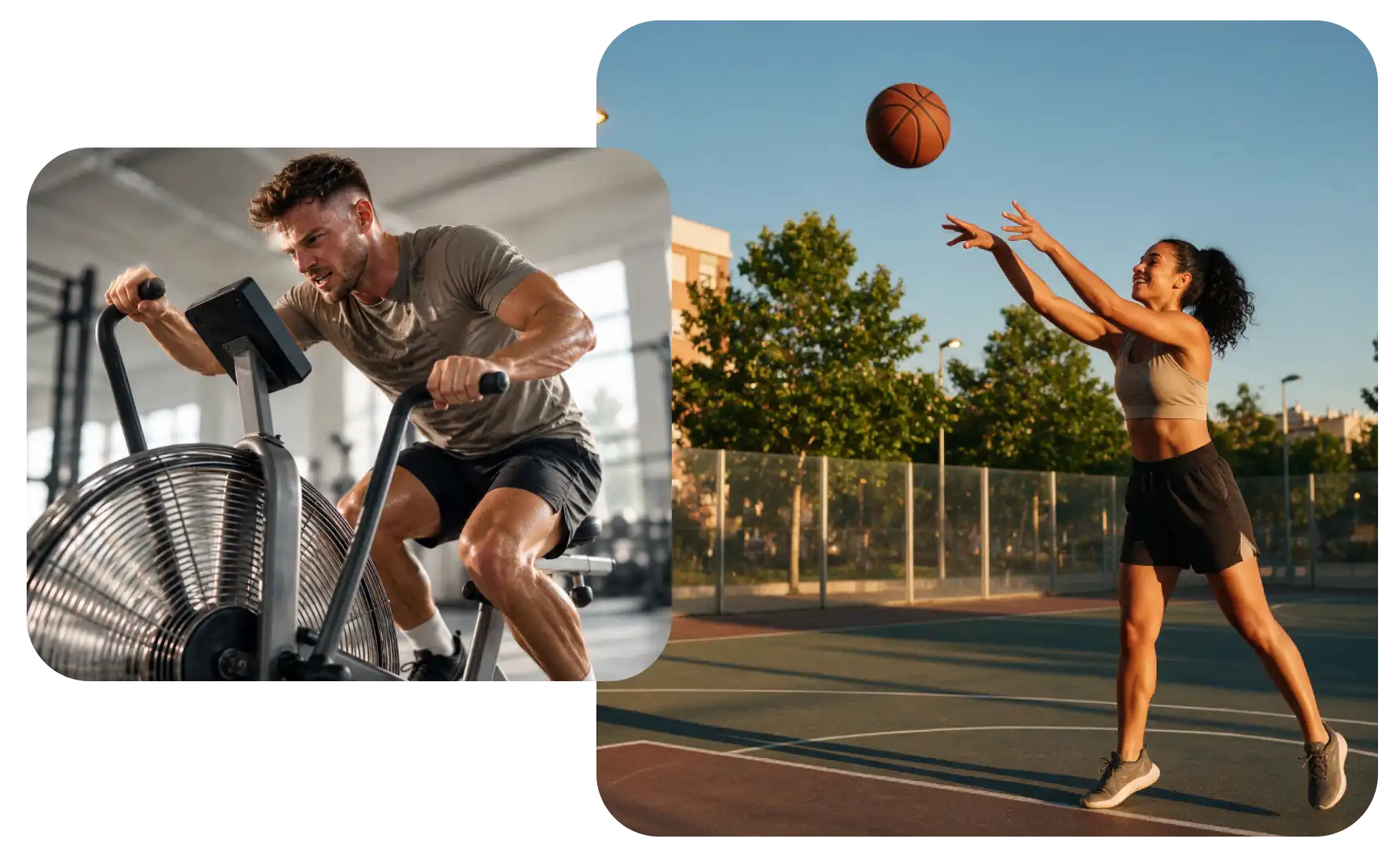 Arten von Sport- und Energieriegeln bei HSN